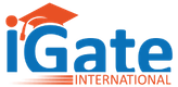 More about Igate International